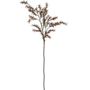 42" Burgundy Boxwood Stem