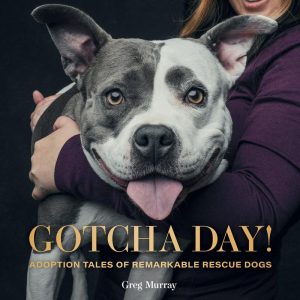 Gotcha Day Book