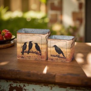 Set of Metal Crow Tins