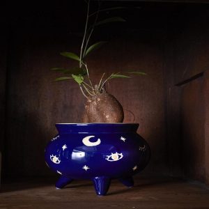 Witch's Caldron Pot