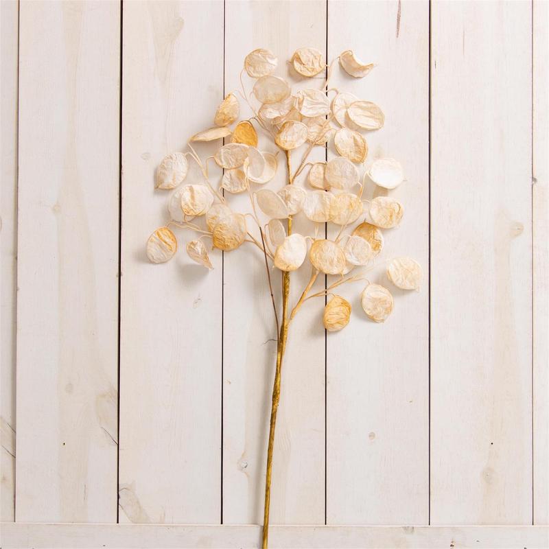 30" White Silver Dollar Eucalyptus Stem