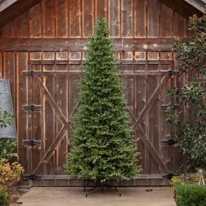 12 Foot Olympia Fir Prelit Tree