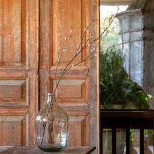 45" French Pussy Willow Stem