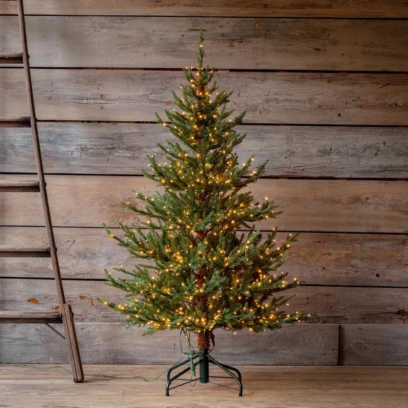 5 Foot Olympia Fir Prelit Tree
