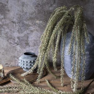 55" Trailing Rosemary Stem