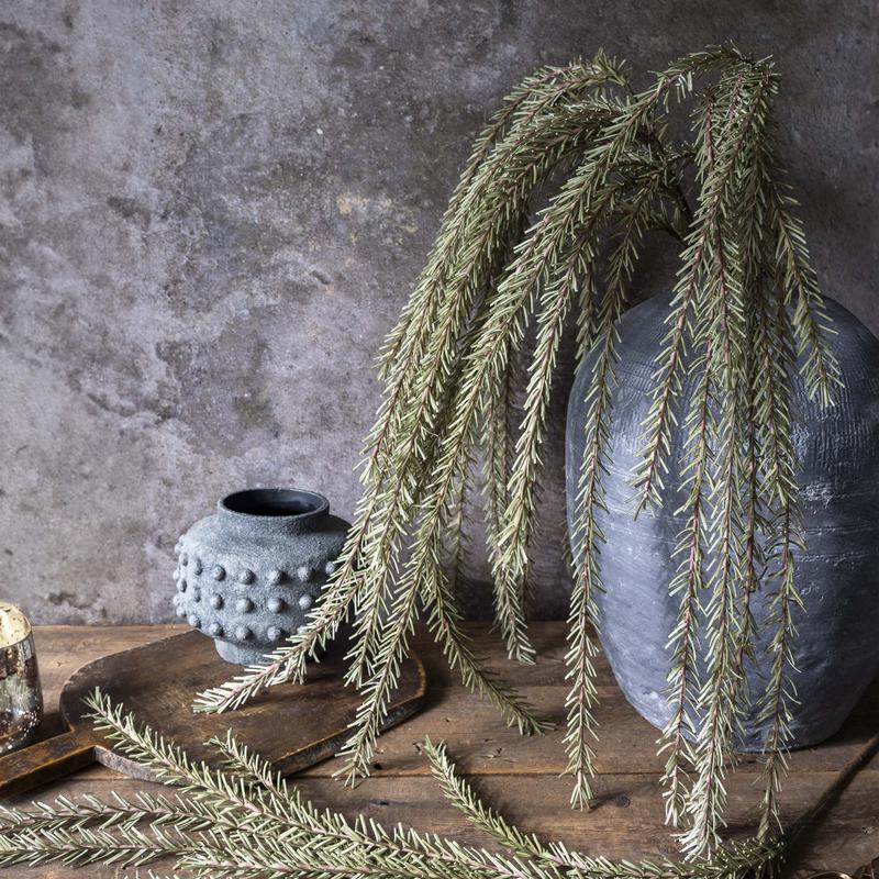 55" Trailing Rosemary Stem