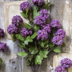 23.25" Guelder Rose Stem