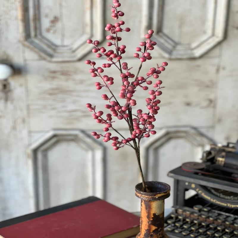 29" Frosted Fizzy Berry Stem