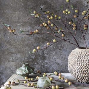 48" Rose Hip Dappled Stem