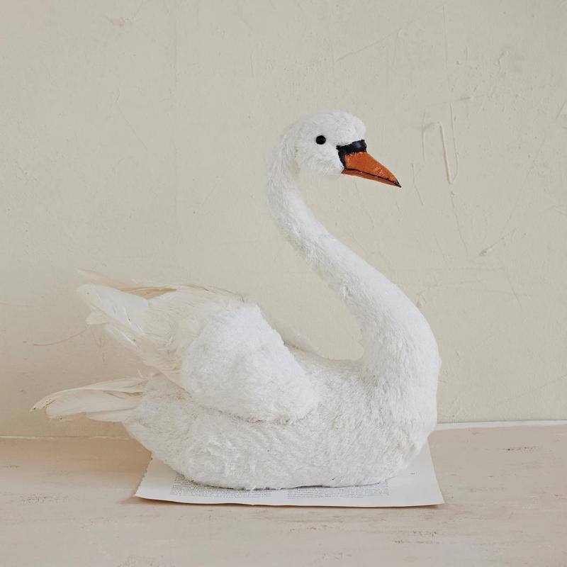 Large Feathered Swan