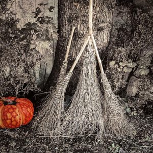 The Little One Witch Broom