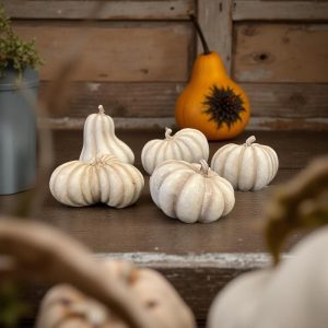 Set of 5 White Pumpkins