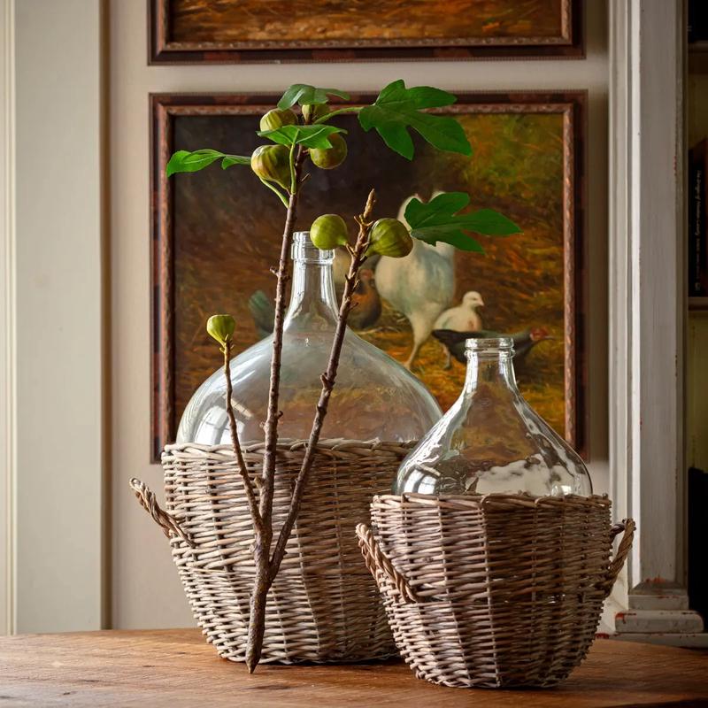 27.5" Kadota Fig Stem