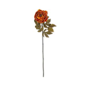 30" Rusty Orange Peony Stem