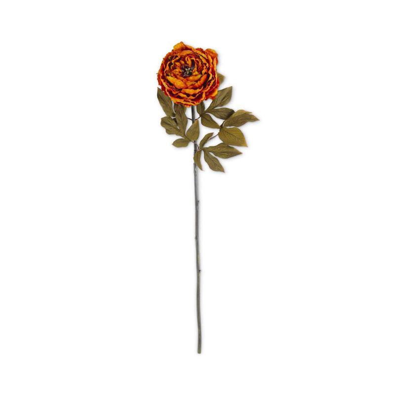 30" Rusty Orange Peony Stem