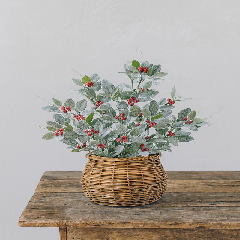 36" Glittered and Flocked Fittonia Stem with Red Berries