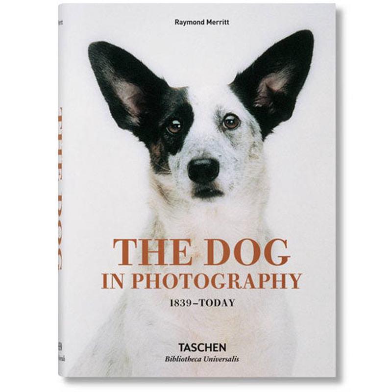 The Dog In Photography Book