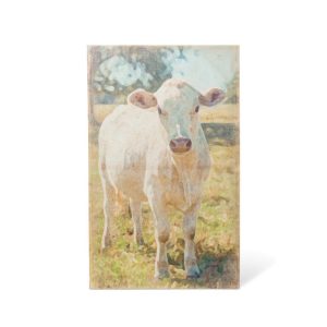 Charolais Cow Canvas Print - More coming soon