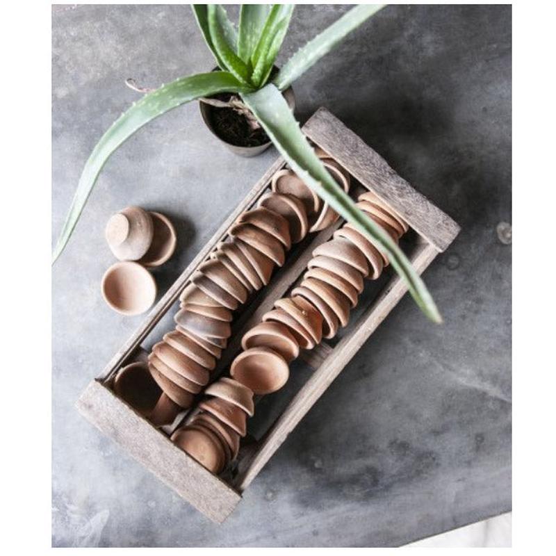 Planter's Seedling Pots with Crate