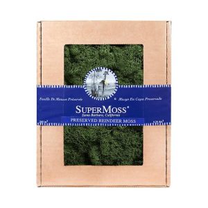 Reindeer Moss