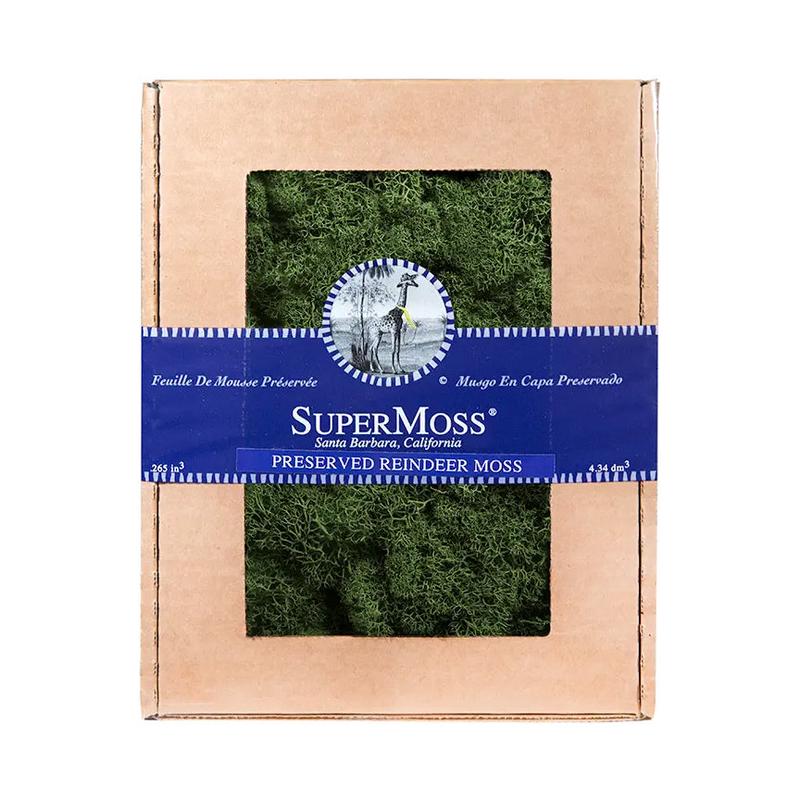 Reindeer Moss