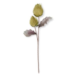 36" Double Protea Stem