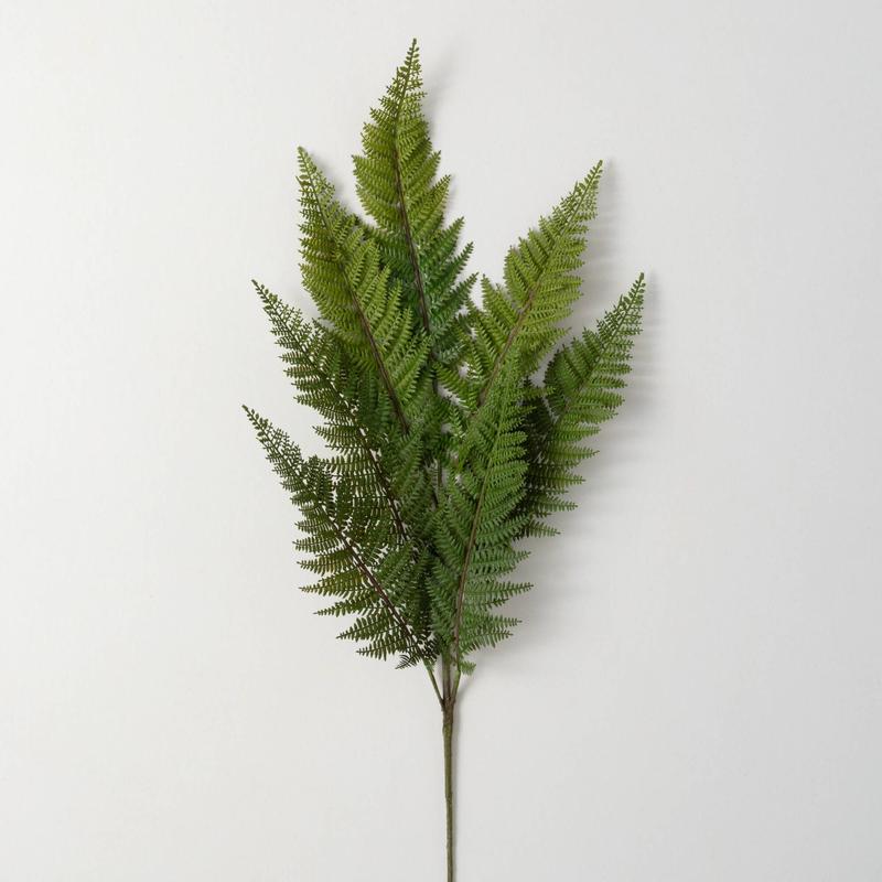36" Wild Fern Spray