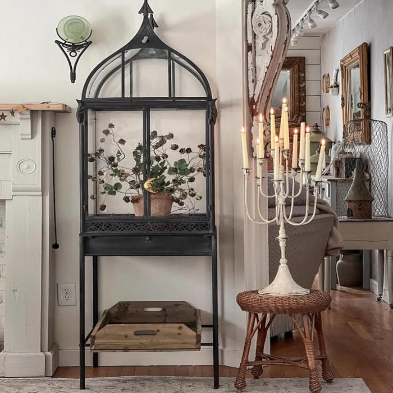 The Sante Marie Terrarium