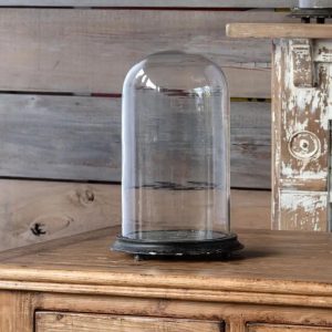 Display Dome Cloche with Black Weathered Base - 17"