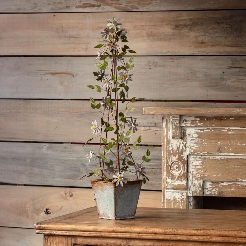 French Wire Clematis Trellis- More Coming Soon