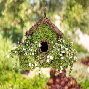 Plantable Moss Birdhouse - More coming Soon