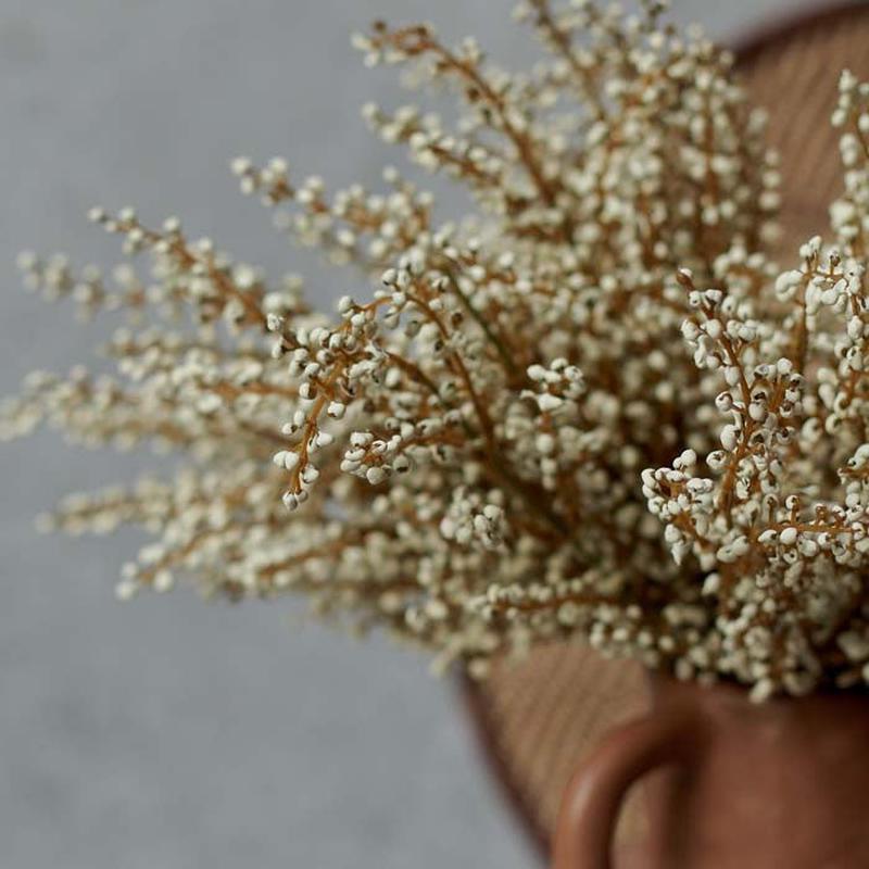 Scottish White Heather Spray