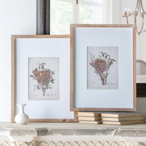 Set of 2 Framed Feathered Nest Prints Wall Decor