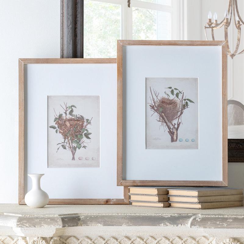 Set of 2 Framed Feathered Nest Prints Wall Decor