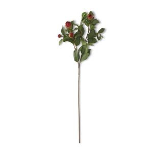 28" Red Bud Peony Stem