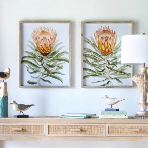 Set of 2 Protea Watercolor Prints in Frames