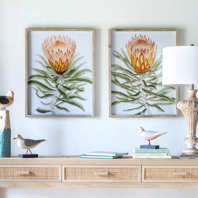 Set of 2 Protea Watercolor Prints in Frames