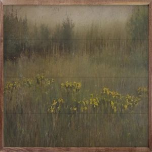 Yellow Flower Field Wall Decor - Choose Your SIze