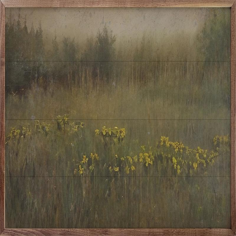 Yellow Flower Field Wall Decor - Choose Your SIze