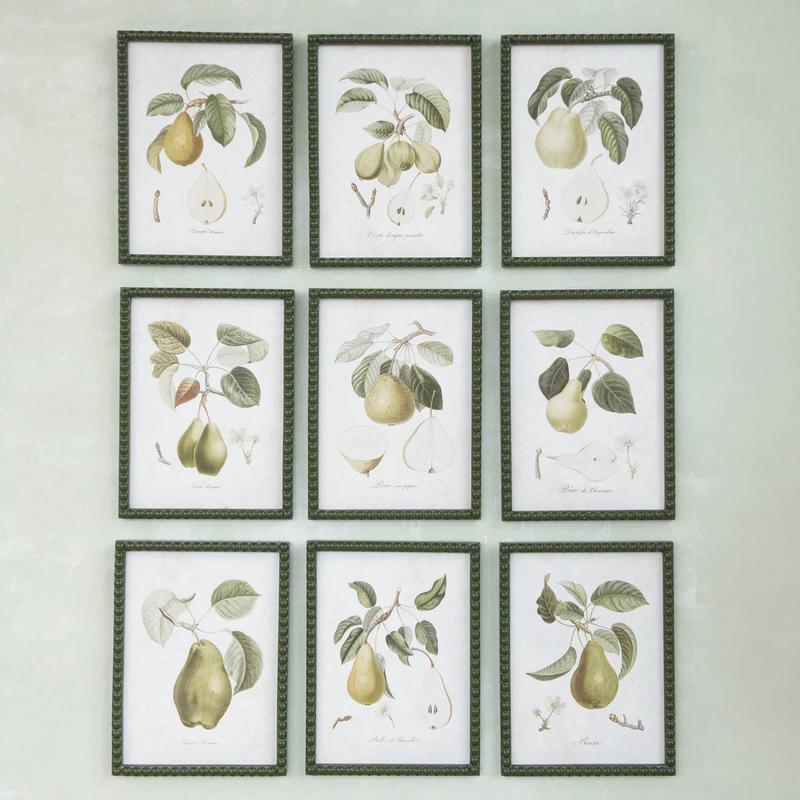 Set of 9 Vintage Style Pear Prints in Green Hobnail Frame