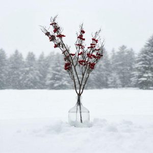 65" Estate Winterberry Branch