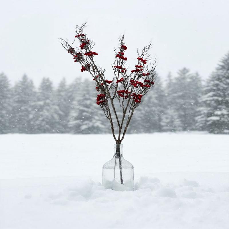 65" Estate Winterberry Branch