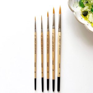 Watercolor Paint Brush Set