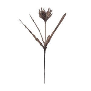 40" Rustic Protea - Brown