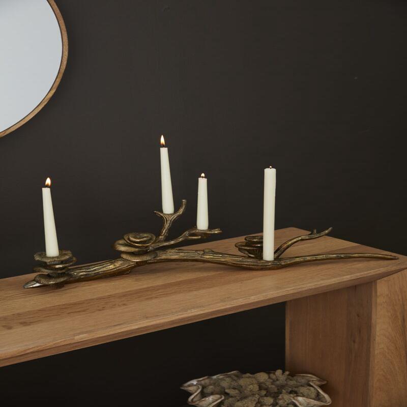 Oyster Mushroom Candleholder