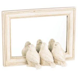 The Bird Mirror