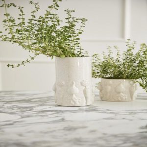 The Veggie Flower Vase Planter