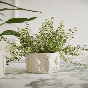 The Veggie Flowerpot Planter - 5 Inch