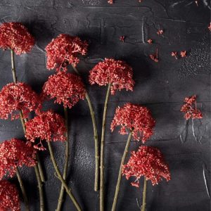 12" Coral Seedum Stem