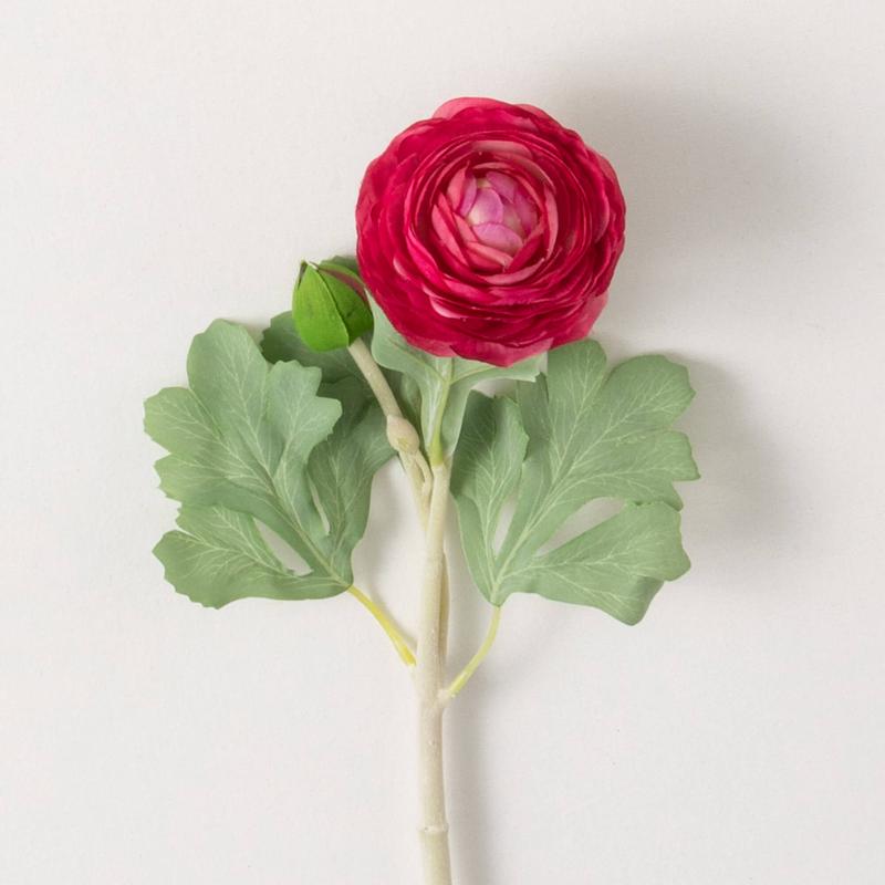 19" Ranunculus Stem - Fushia
